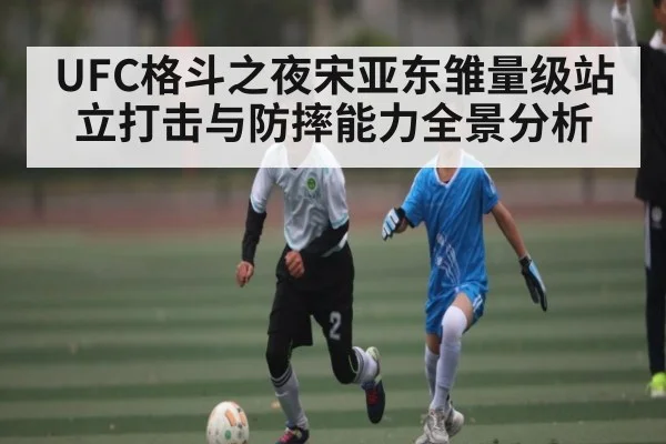 UFC格斗之夜宋亚东雏量级站立打击与防摔能力全景分析